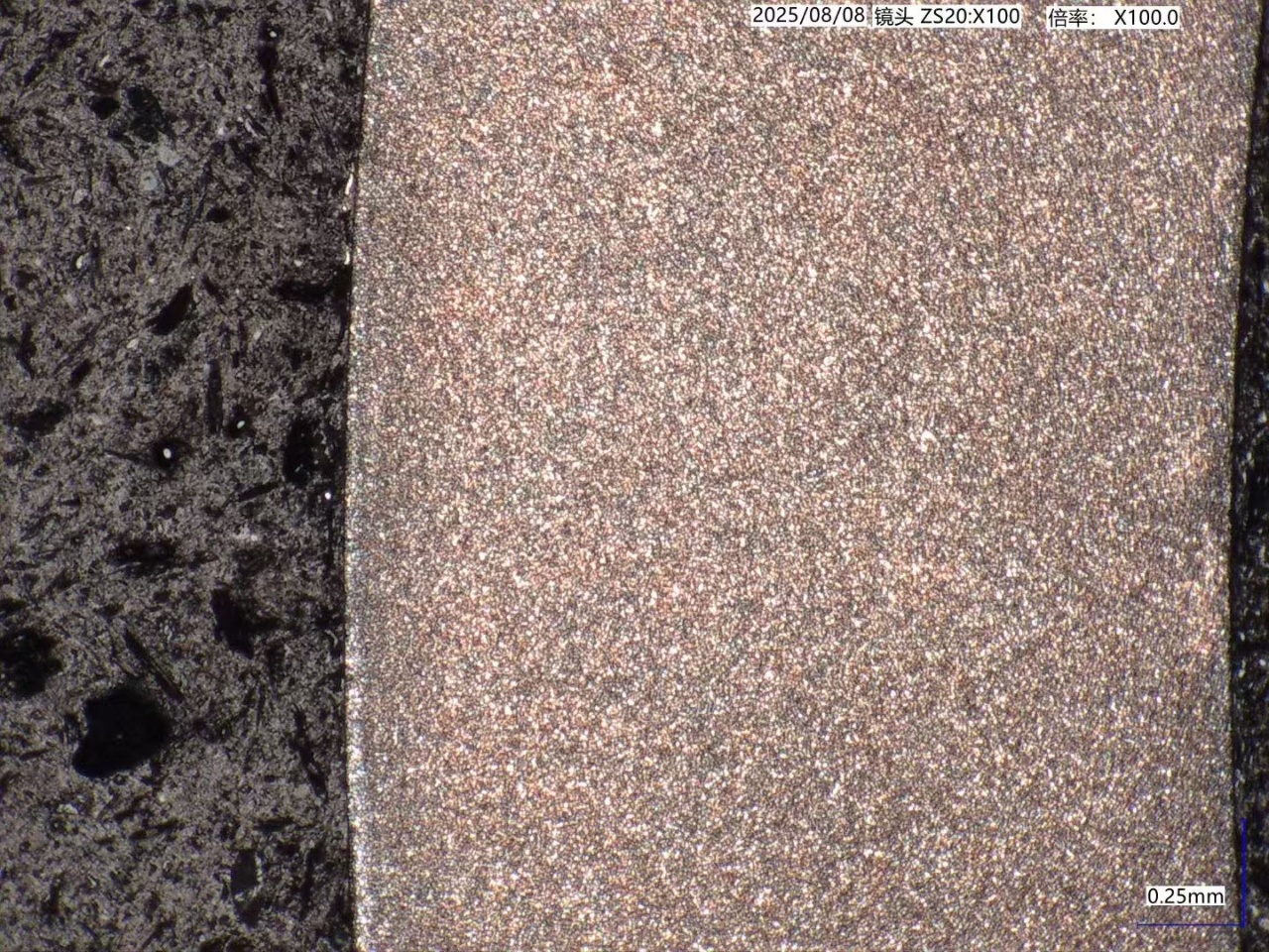 Graphique mesuré au microscope à phase dorée